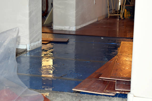 Professional Water Damage Restoration technician working in Newtown, CT