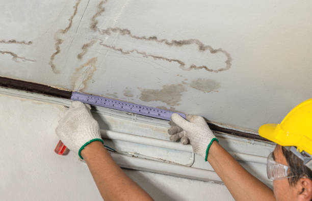 Reliable Water Damage Restoration contractor in Newtown, CT by Water Damage Irwin